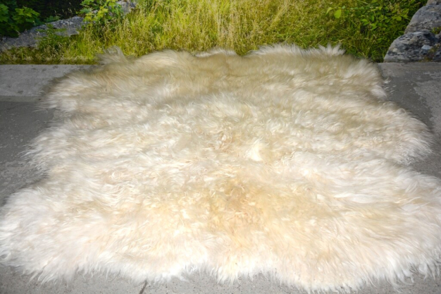 Island-Fellteppich Wollweiß XXL (180x200cm) – 15-20cm Langhaar